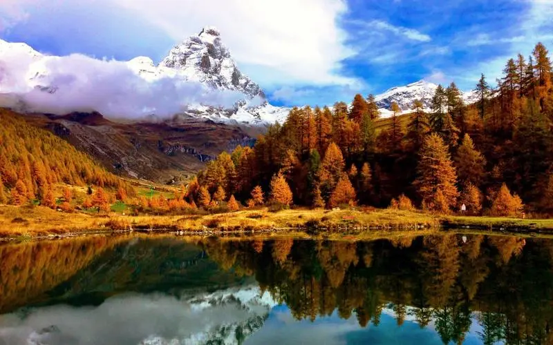 科技可靠性工业